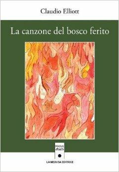 La canzone del bosco ferito - Claudio Elliott - Libro La Medusa 2016 | Libraccio.it
