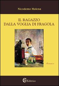 Il ragazzo dalla voglia di fragola - Nicodemo Malena - Libro CSA Editrice 2015, I romanzi | Libraccio.it