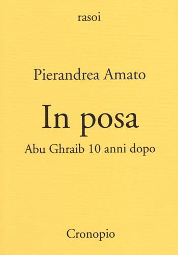 In posa. Abu Ghraib 10 anni dopo - Pierandrea Amato - Libro Cronopio 2014, Rasoi | Libraccio.it
