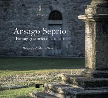 Arsago Seprio. Paesaggi storici e naturali. Ediz. illustrata - Martino Rosso - Libro BraDypUS 2019 | Libraccio.it