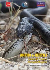 Anfibi e rettili. Saline di Priolo e penisola Magnisi