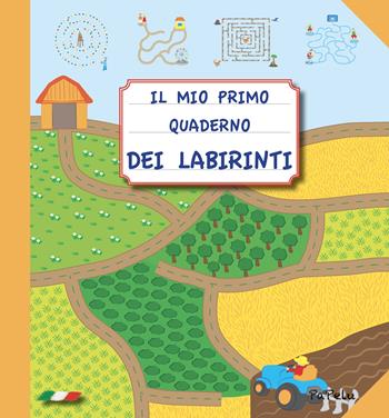 Il mio primo quaderno dei labirinti - Eugenia Dolzhenkova, Luca Grigolato - Libro Papelu 2017, Il mio primo quaderno | Libraccio.it
