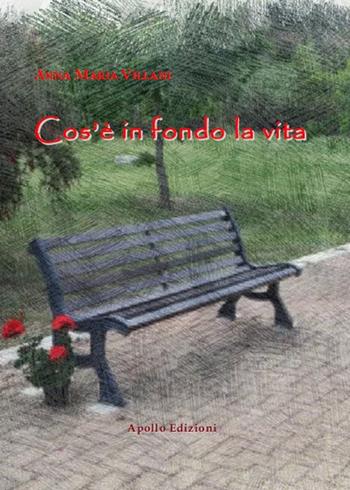 Cos'è in fondo la vita - Anna Maria Villani - Libro Apollo Edizioni 2016, Il volo dell'airone | Libraccio.it