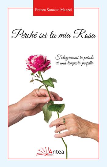 Perché sei la mia Rosa. Fotogrammi in parole di una tempesta perfetta - Franca Soracco Mazzei - Libro Antea 2018, Riflessi letterari | Libraccio.it