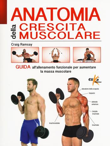 Anatomia della crescita muscolare. Guida all'allenamento funzionale per aumentare la massa muscolare. Ediz. a colori - Craig Ramsay - Libro Elika 2018, Anatomia | Libraccio.it