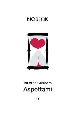 Aspettami. L'amore inventato è un piano perfetto - Brunilde Gambaro - Libro Nobook, FWorld | Libraccio.it