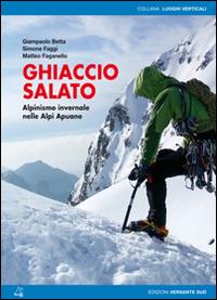 Ghiaccio salato. Alpinismo invernale nelle Alpi Apuane - Simone Faggi, Giampaolo Betta, Matteo Faganello - Libro Versante Sud 2014, Luoghi verticali | Libraccio.it