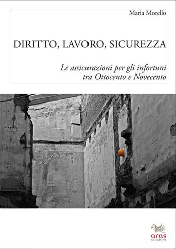 Diritto, lavoro e sicurezza. Le assicurazioni per gli infortuni tra Ottocento e Novecento - Maria Morello - Libro Aras Edizioni 2014 | Libraccio.it