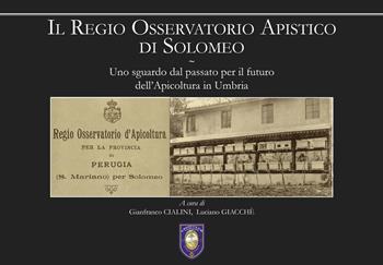 Il regio osservatorio apistico di Solomeo. Uno sguardo dal passato per il futuro dell’apicoltura in Umbria  - Libro Icona 2024 | Libraccio.it