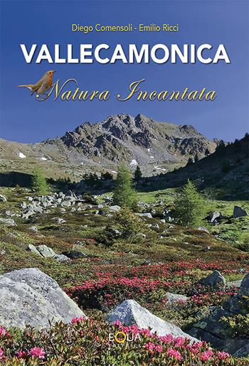 Vallecamonica natura incantata - Diego Commensali, Emilio Ricci - Libro E-QUA 2016 | Libraccio.it