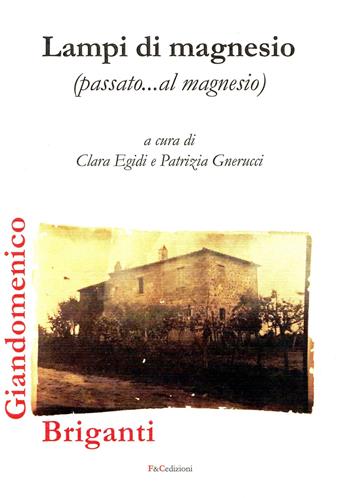 Lampi di magnesio (passato...al magnesio) - Giandomenico Briganti - Libro F & C Edizioni 2017 | Libraccio.it