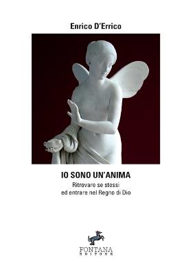 Io sono un'anima. Ritrovare se stessi ed entrare nel regno di dio - Enrico D'Errico - Libro Fontana Editore 2019 | Libraccio.it