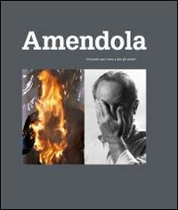 Aurelio Amendola. Fotografo per l'arte e per gli artisti - Elena La Spina - Libro Magonza 2014 | Libraccio.it