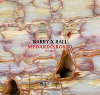 Barry x Ball. Medardo Rosso project. Ediz. a colori - Elisabetta Barisoni, Francesco Guzzetti, David Raskin - Libro Magonza 2019 | Libraccio.it