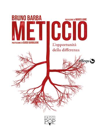 Meticcio. L'opportunità della differenza - Bruno Barba - Libro effequ 2018, Saggi pop | Libraccio.it