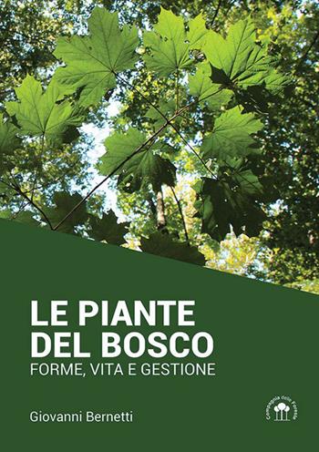 Le piante del bosco. Forme, vita e gestione - Giovanni Bernetti - Libro Compagnia delle Foreste 2015 | Libraccio.it