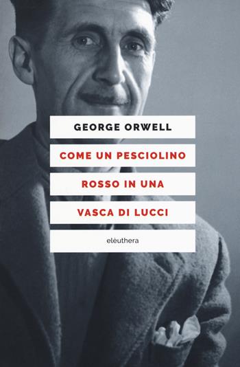 Come un pesciolino rosso in una vasca di lucci - George Orwell - Libro Elèuthera 2018 | Libraccio.it