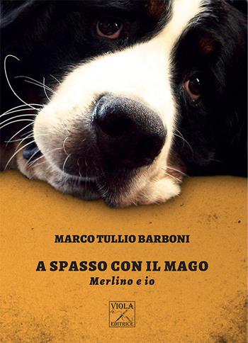 A spasso con il mago. Merlino e io - Marco Tullio Barboni - Libro Viola Editrice 2017, Oltre | Libraccio.it