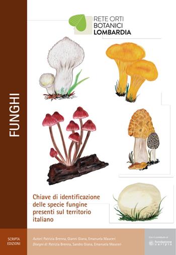 Funghi. Chiave di identificazione delle specie fungine presenti nel territorio italiano - Patrizia Brenna, Gianni Giana, Emanuela Mauceri - Libro Scripta 2016 | Libraccio.it