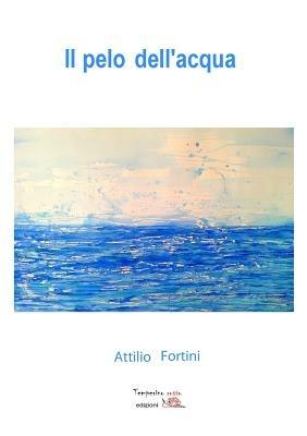 Il pelo dell'acqua - Attilio Fortini - Libro Temperino Rosso 2014, Viaggio delle idee | Libraccio.it
