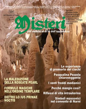 Il giornale dei misteri (2018). Vol. 539  - Libro I Libri del Casato 2018 | Libraccio.it