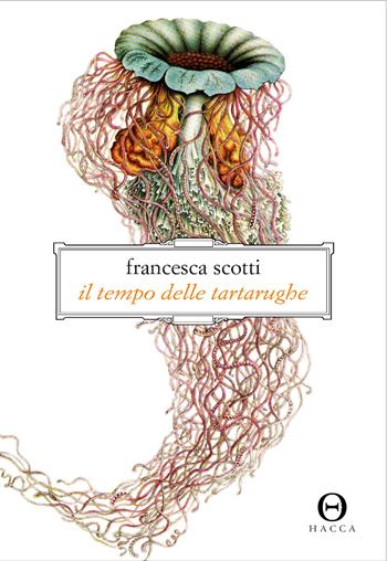 Il tempo delle tartarughe - Francesca Scotti - Libro Hacca 2022 | Libraccio.it
