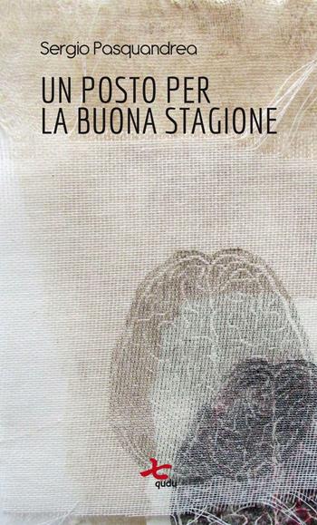 Un posto per la buona stagione - Sergio Pasquandrea - Libro Qudulibri 2016 | Libraccio.it