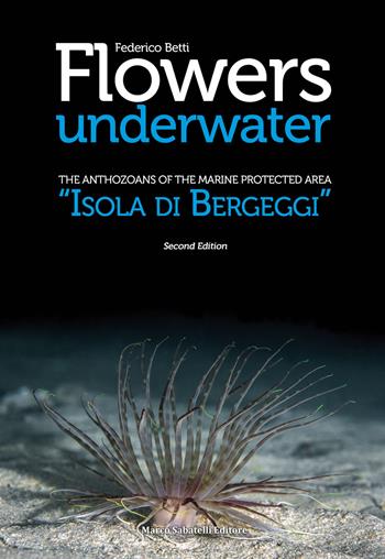 Flowers underwater. The anthozoas of the marine protected area «Isola di Bergeggi» - Federico Betti - Libro Sabatelli 2017 | Libraccio.it