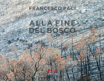 Alla fine del bosco - Francesco Paci - Libro Marchetti Editore 2021 | Libraccio.it