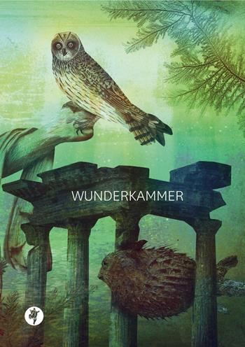 Wunderkammer - Carlo Tosetti - Libro Pietre Vive 2016, iCentoLillo | Libraccio.it