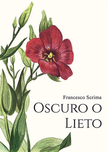 Oscuro o lieto - Francesco Scrima - Libro Mohicani Edizioni 2022, Narrativa | Libraccio.it