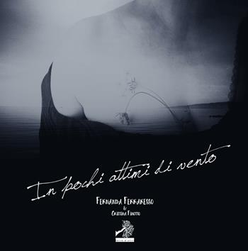 In pochi attimi di vento - Fernanda Ferraresso - Libro Terra d'Ulivi 2016, Le avventurine | Libraccio.it