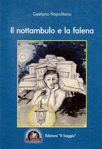 Il nottambulo e la falena - Gaetano Napolitano - Libro Edizioni Il Saggio 2014 | Libraccio.it