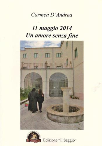 11 maggio 2014. Un amore senza fine - Carmen D'Andrea - Libro Edizioni Il Saggio 2016 | Libraccio.it