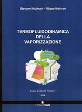 Termofluidodinamica della vaporizzazione. Modalità e componenti del processo