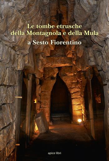 Le tombe etrusche della Montagnola e della Mula a Sesto Fiorentino - Frido Chiostri, Marcello Mannini, Giuseppina Carlotta Cianferoni - Libro Apice Libri 2019, Sextus | Libraccio.it