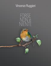 Forse Non è Niente
