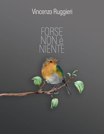 Forse Non è Niente - Vincenzo Ruggieri - Libro Ass. Cult. Vera Canam 2019, Collana dei sogni | Libraccio.it