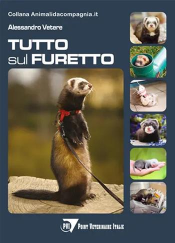 Tutto sul furetto - Alessandro Vetere - Libro Le Point Vétérinaire Italie 2020, Summa. Animali da compagnia | Libraccio.it