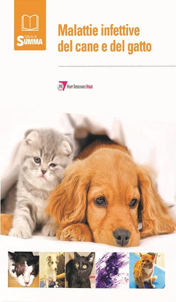 Le malattie infettive del cane e del gatto  - Libro Le Point Vétérinaire Italie 2023, Summa. Animali da compagnia | Libraccio.it