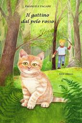 Il gattino dal pelo rosso