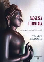 Saggezza illimitata. Manuale per la pratica del Mahàmudrà