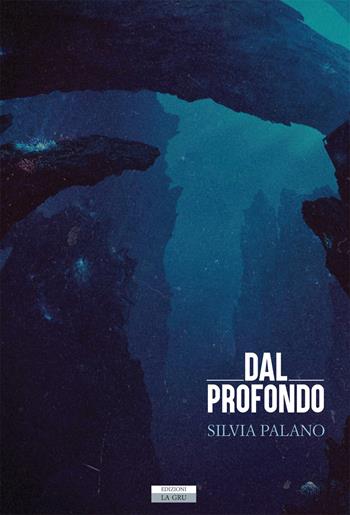 Dal profondo - Silvia Palano - Libro La Gru 2018, 14° piano | Libraccio.it