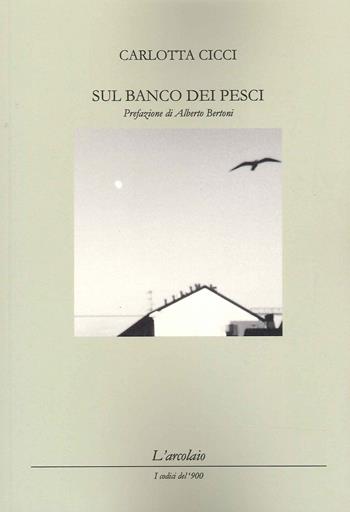 Sul banco dei pesci - Carlotta Cicci - Libro L'Arcolaio 2022 | Libraccio.it