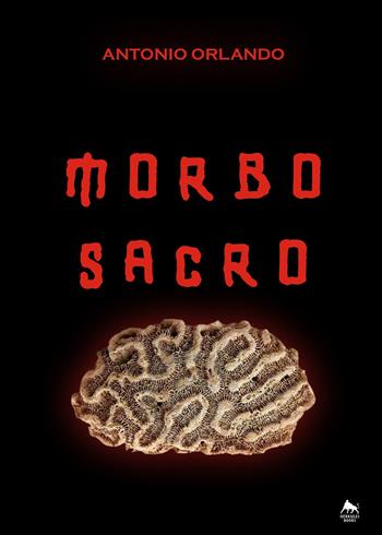 Morbo sacro - Antonio Orlando - Libro Herkules Books 2015, Giallo H | Libraccio.it