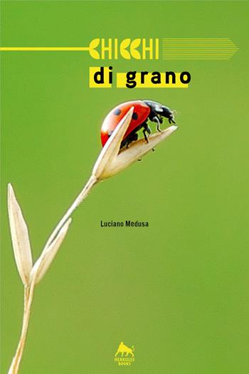 Chicchi di grano - Luciano Medusa - Libro Herkules Books 2018, Bianco H | Libraccio.it