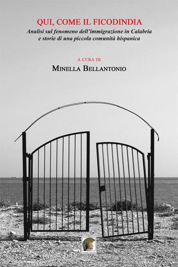 Qui, come il ficodindia. Analisi sul fenomeno dell'immigrazione in Calabria e storie di una piccola comunità hispanica  - Libro Leonida 2017 | Libraccio.it