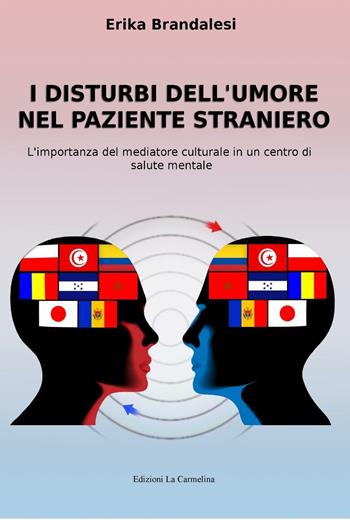 I disturbi dell'umore nel paziente straniero. L'importanza del mediatore culturale in un centro di salute mentale - Erika Brandalesi - Libro La Carmelina 2016 | Libraccio.it