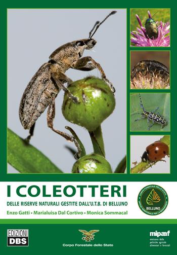 I coleotteri. Delle riserve naturali gestite dall'U.T.B. di Belluno - Enzo Gatti, Marialuisa Dal Cortivo, Monica Sommacal - Libro DBS 2016 | Libraccio.it