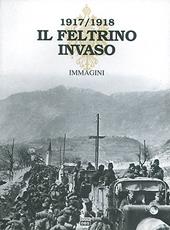 Il Feltrino invaso 1917-1918. Vol. 2: Immagini.